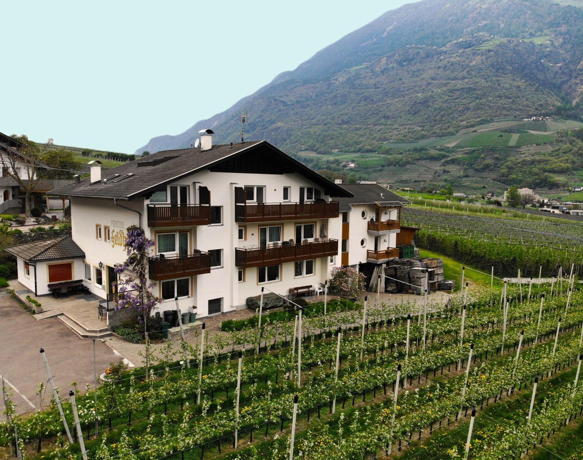 Residence Feldhof Castelbello Luaran gambar